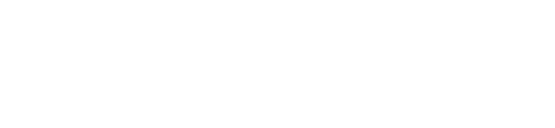 Orion Wholesale logo