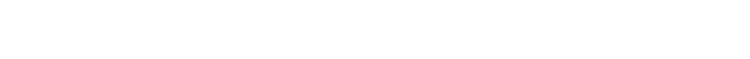 Sports South logo